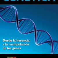 26 genetica.pdf