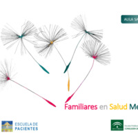 603 ü  Familiares en salud mental. guía de información para pacientes.pdf