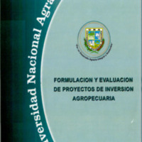 21 Proyectos de inversión formulación y evaluación.pdf