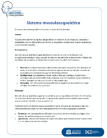 351  Sistema músculo esquelético..pdf